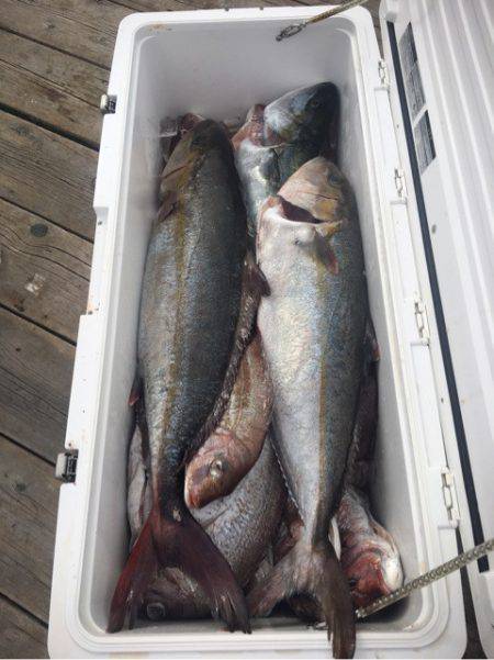 釣り堀水宝 釣果