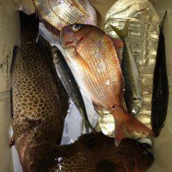 龍神丸(鹿児島) 釣果