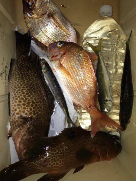 龍神丸(鹿児島) 釣果