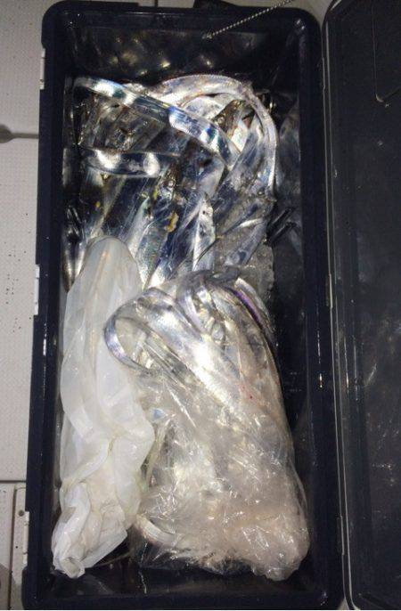 SeaRide(シーライド) 釣果