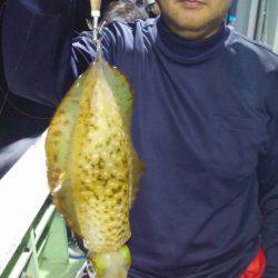 ヤザワ渡船 釣果