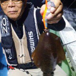 ヤザワ渡船 釣果