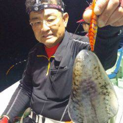 ヤザワ渡船 釣果