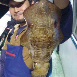 ヤザワ渡船 釣果