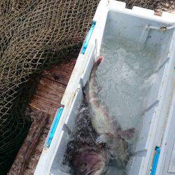 釣り堀水宝 釣果