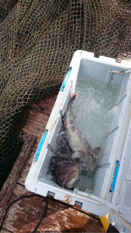 釣り堀水宝 釣果