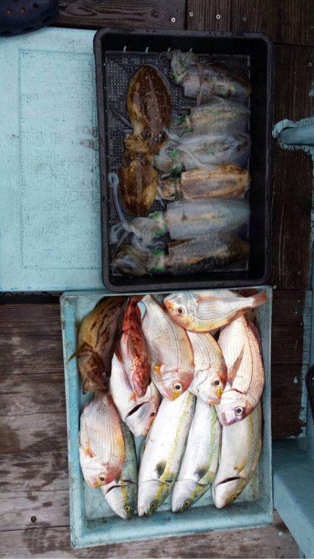 じゅん栄丸 釣果