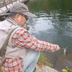 平谷湖フィッシングスポット 釣果