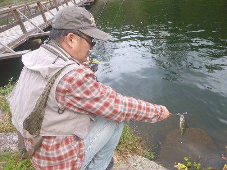 平谷湖フィッシングスポット 釣果