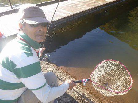 平谷湖フィッシングスポット 釣果