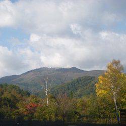 平谷湖フィッシングスポット 釣果