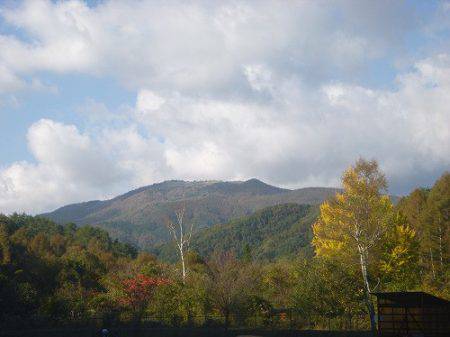 平谷湖フィッシングスポット 釣果