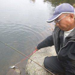 平谷湖フィッシングスポット 釣果