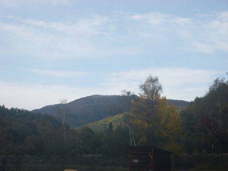 平谷湖フィッシングスポット 釣果