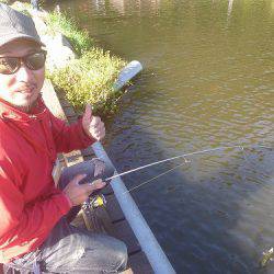 平谷湖フィッシングスポット 釣果