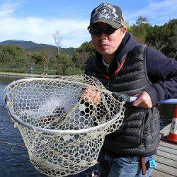 平谷湖フィッシングスポット 釣果