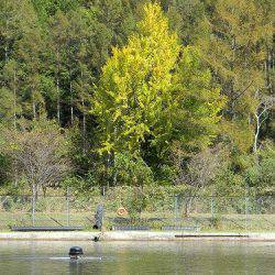 平谷湖フィッシングスポット 釣果