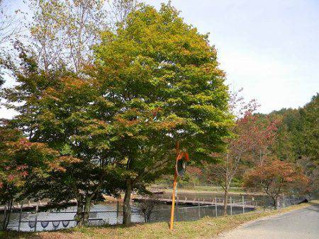 平谷湖フィッシングスポット 釣果