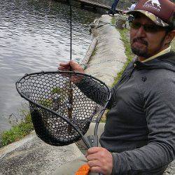 平谷湖フィッシングスポット 釣果