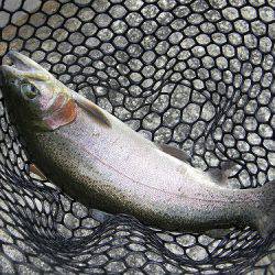 平谷湖フィッシングスポット 釣果