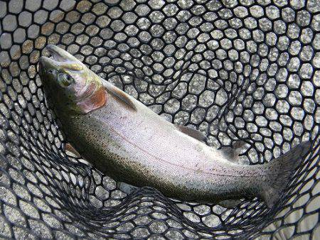 平谷湖フィッシングスポット 釣果