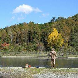 平谷湖フィッシングスポット 釣果