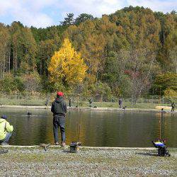 平谷湖フィッシングスポット 釣果