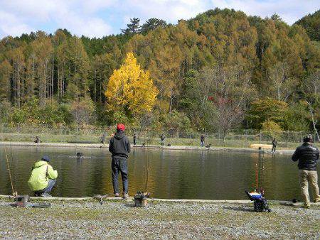 平谷湖フィッシングスポット 釣果