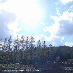 平谷湖フィッシングスポット 釣果