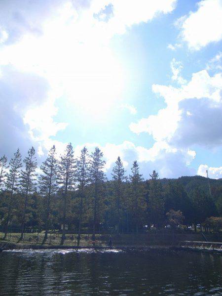 平谷湖フィッシングスポット 釣果