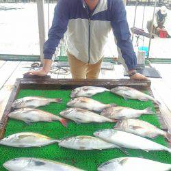 海の釣堀 海恵 釣果
