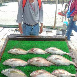 海の釣堀 海恵 釣果