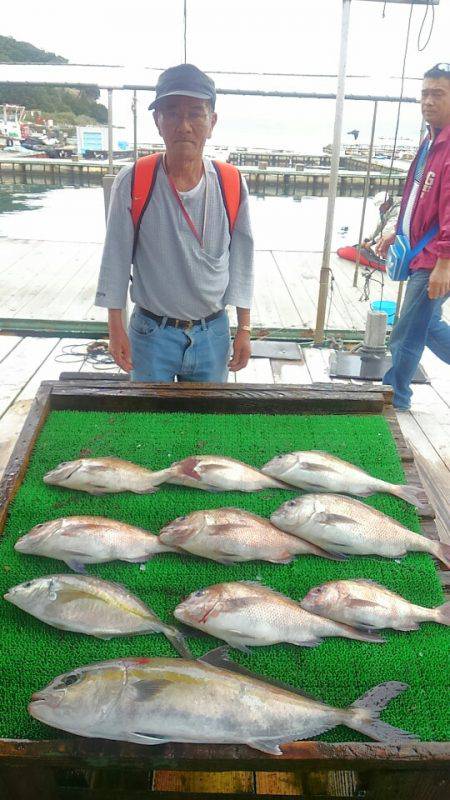 海の釣堀 海恵 釣果