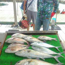 海の釣堀 海恵 釣果