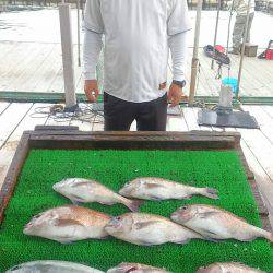 海の釣堀 海恵 釣果