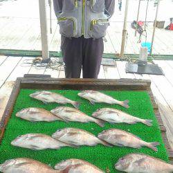 海の釣堀 海恵 釣果