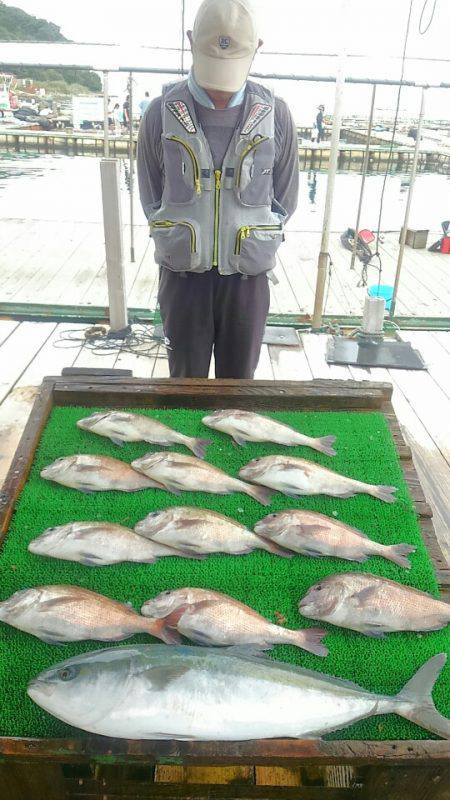 海の釣堀 海恵 釣果