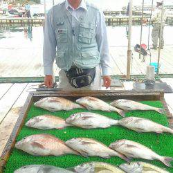 海の釣堀 海恵 釣果