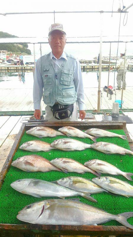 海の釣堀 海恵 釣果