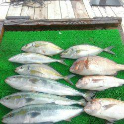 海の釣堀 海恵 釣果