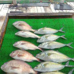 海の釣堀 海恵 釣果