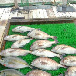 海の釣堀 海恵 釣果