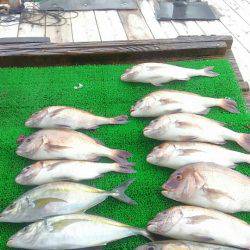 海の釣堀 海恵 釣果