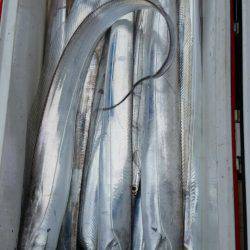 金沢八景鴨下丸 釣果