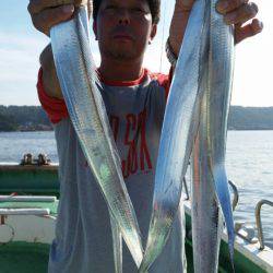 金沢八景鴨下丸 釣果