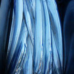 金沢八景鴨下丸 釣果