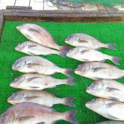 海の釣堀 海恵 釣果