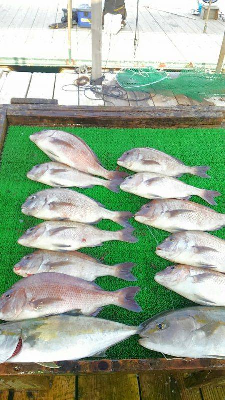 海の釣堀 海恵 釣果