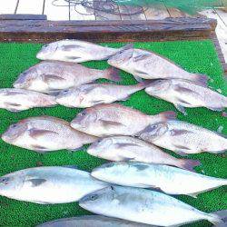 海の釣堀 海恵 釣果
