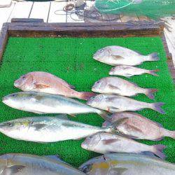 海の釣堀 海恵 釣果
